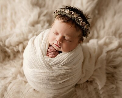roseville newborn photographer