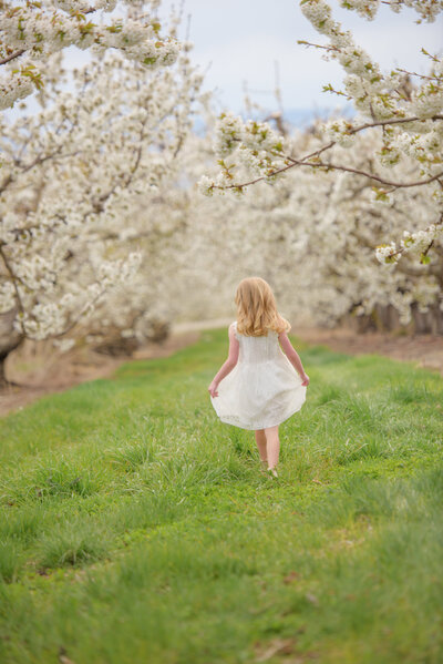 Little girl in white dressing walking through a flowering orchard in Caldwell, Idaho during photography session with best Boise Photographer Tiffany Hix