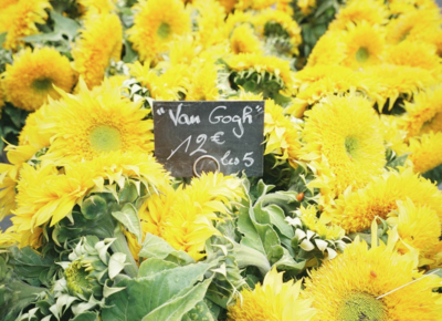 pitinada artist photographer