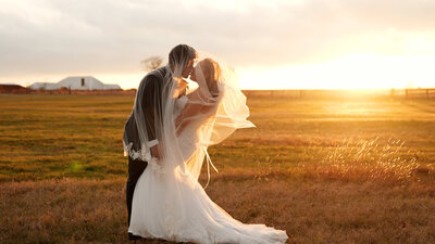 A bride and groom share a romantic kiss in a sunlit field during sunset, surrounded by nature's beauty.