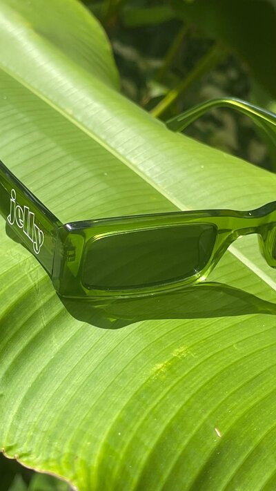 Jelly branded sunglasses on green leaf