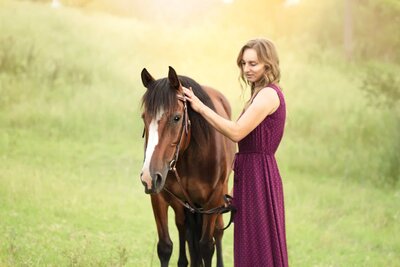 7. Sydney Equine Photography girl stroking bay horse Half Steps Photography