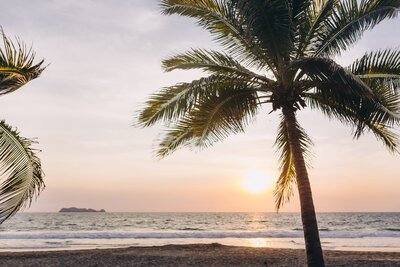 Styled Stock Society Beach Vibes 10