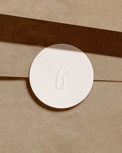 ​chic-logo-design-for-san-diego-hair-stylist