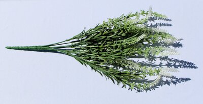 White Lavender yorkton rentals