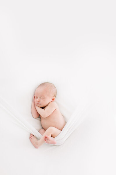 newborn portrait
