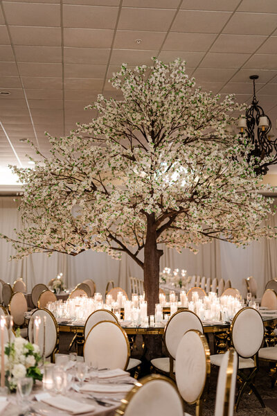 Tree in wedding receptioon