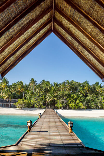 Wooden pier leading to a tropical beach with palm trees and turquoise water in the Maldives.