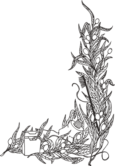 Maven Dentistry Brand Illustration Right Black