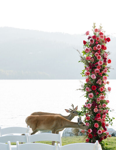 montana-wedding-photographer
