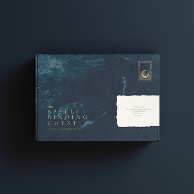 dark blue and gold packaging of a mailer box for a book subscription box