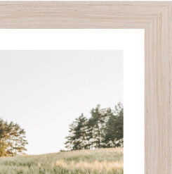 Frame option