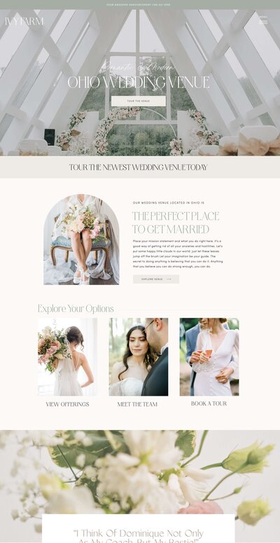 Dominique Transformation Example into Wedding Planner Website