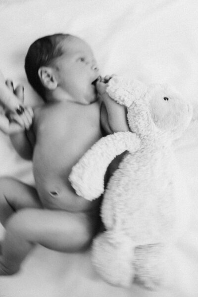 black and white film photograph of a newborn baby snuggled next to a lamb stuffed animal