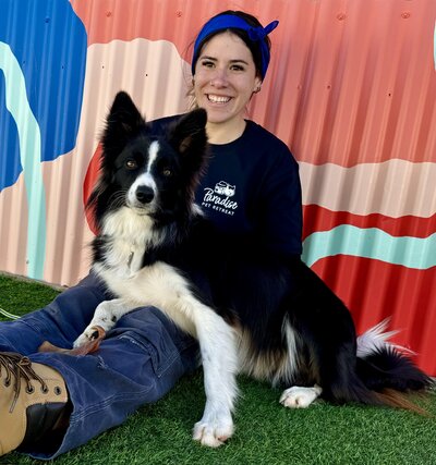 Paradise Pet Retreat Dog Kennel, Dog Boarding