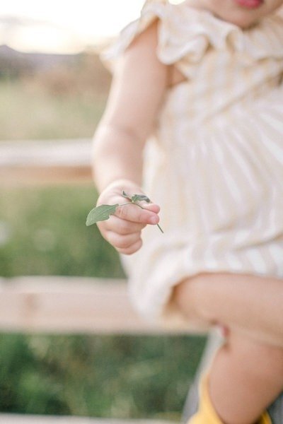 A child holding a small plant in a sweet portrait, captured by Emily Barbara, a family photographer in Milwaukee.