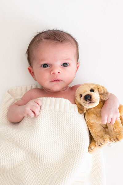 Baby Grey Newborn Shoot_0180