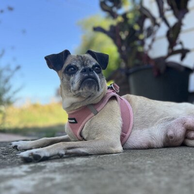 Coco (1)