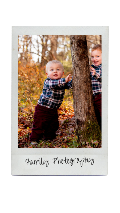 two young boys look around a tree during a family photo session