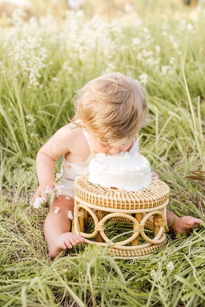 one-year-old-cake-smash-photos_0003