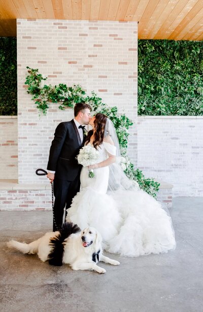 A bride and groom share a kiss in front of a white brick wall with green ivy, while a large black and white dog lies at their feet.