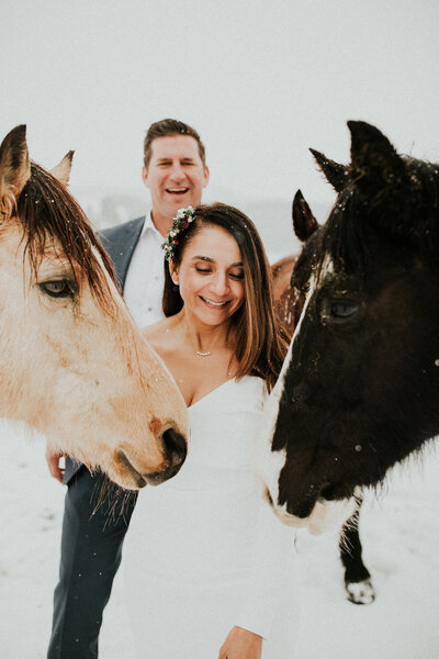 A bride and groom pet horses as it snows