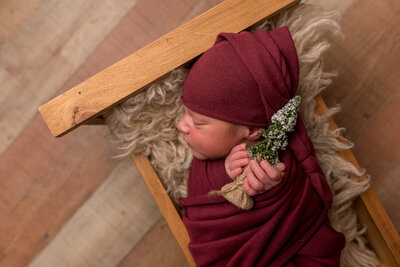 Baby boy wrapped in red wrap with red hat, holding Christmas tree