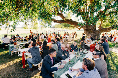 Wedding reception under willow tree at McVey Homestead in Victor, MT