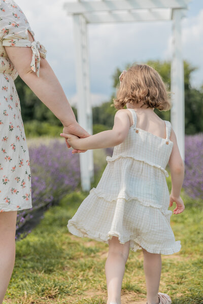 young girl pulls on mother's hand as they walk away from camera in a lavender field in Milan, Michigan
