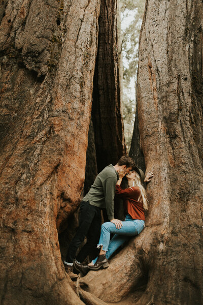 couple sitting in sequoia