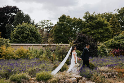 Bride and groom in the blooming lavender gardens at Caswell House during summer
