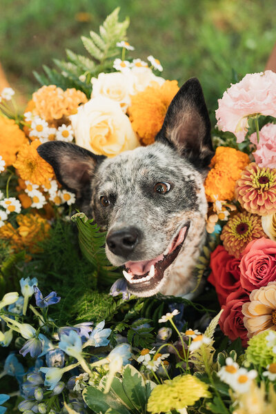 a dog portrait surrounded by wedding florals