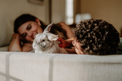 A couple petting their pet with love on the couch for an in home photo session. 