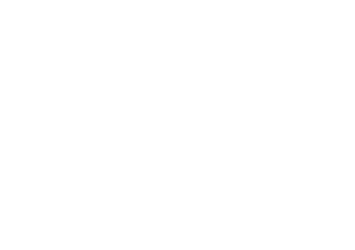 Next Adventure Films Primary White