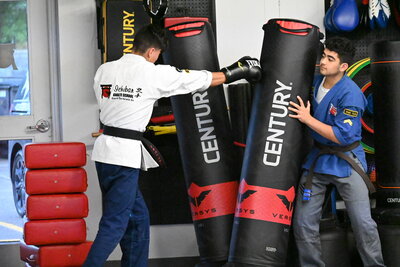 Martial arts boxing