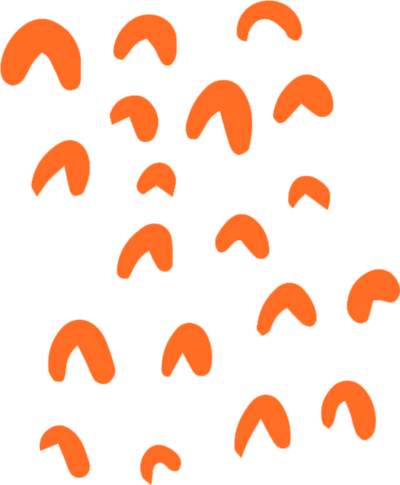 roundybits
