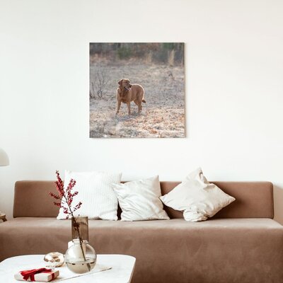 Classic Modern Wall Art Canvas Interior Mockup for Instagram Post
