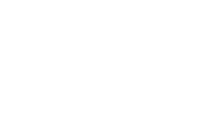 The Extraordinary Foundation submark logo