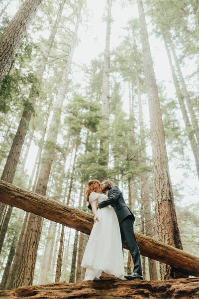 bride and groom kissing in the woods