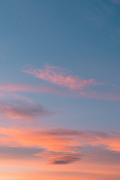 MomentDay-DomainedeCanaille-CynthiaReinke-276