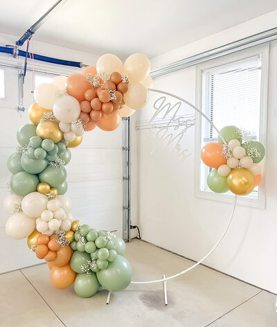 balloons-bismarck-nd-250