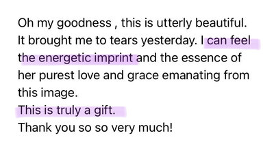 animal communication testimonial