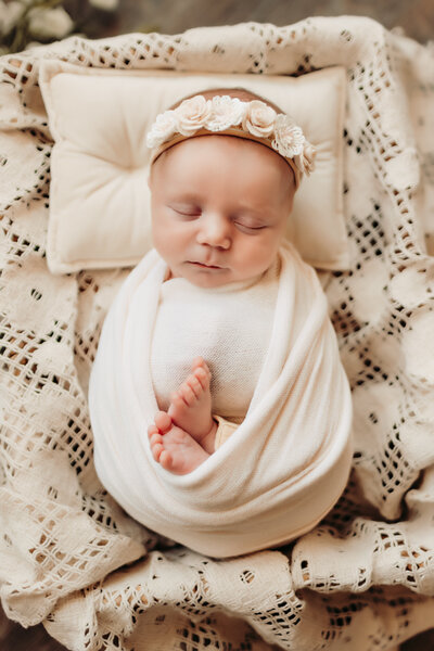 in home newborn photographer murfreesboro tn