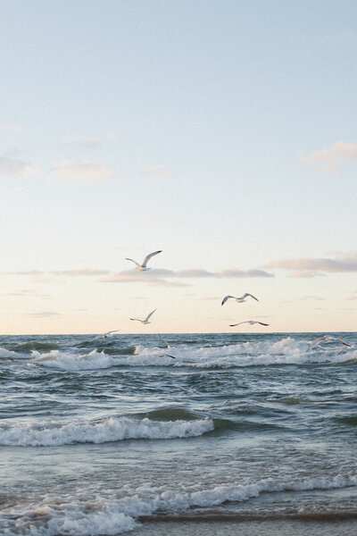 Sol-Luna-Photography-1641