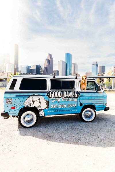 Houston Dog Trainer Brand Session