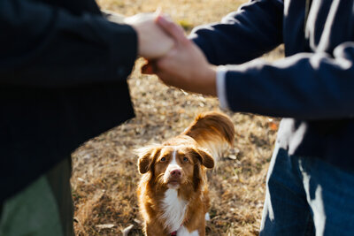 Gay Couple surprise proposal in Catskills in the Hudson Valley of New York.