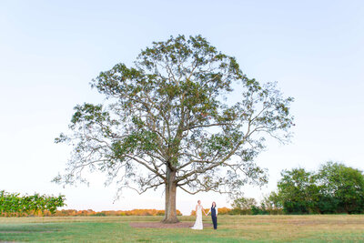 Brides standing together under massive oak tree
