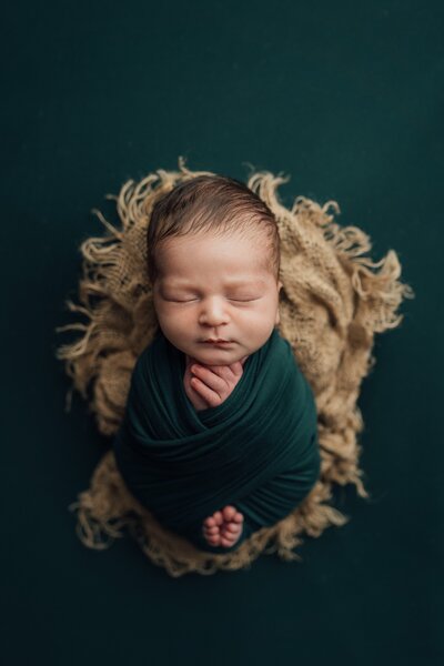 newborn girl posed in navy at st. pete newborn studio