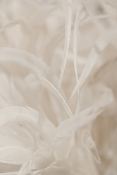 Magdalena Studios Stock Photos 3