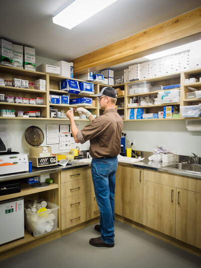 veterinary assistant with medical supplies in office